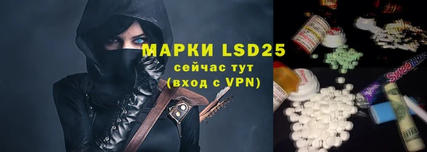 прущие грибы Осташков
