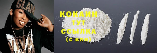 ПСИЛОЦИБИНОВЫЕ ГРИБЫ Осинники